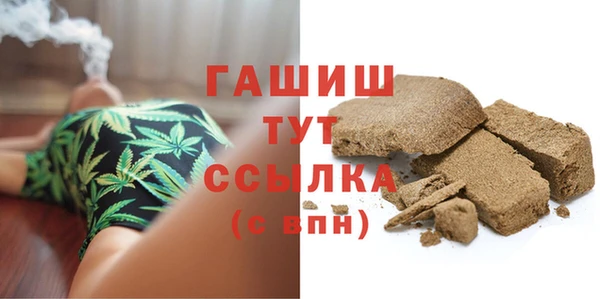 индика Богородицк