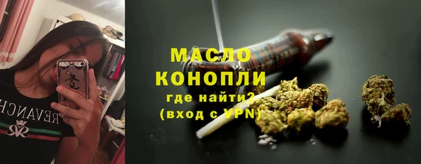 метадон Богданович